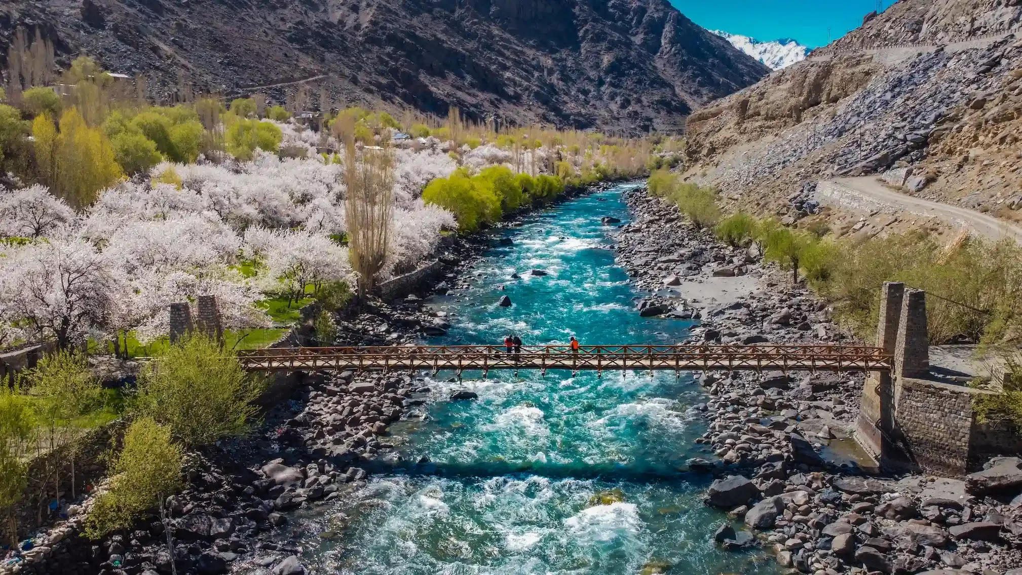 DJI_0069_Original.webp
